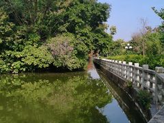 -深圳仙湖植物园