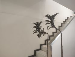 -I+造型烫发染发