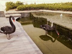 -行者书屋大堂吧 ·下午茶(南京圣和府邸酒店)