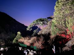 -泰山风景名胜区