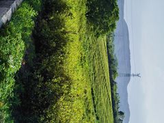 -宜兴龙背山森林公园