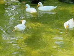 -南戴河国际娱乐中心