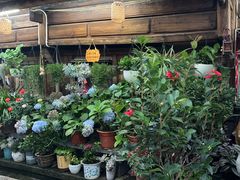 -龙姐私房菜(和顺古镇店)