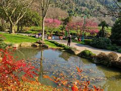 -中国茶叶博物馆(双峰馆区)