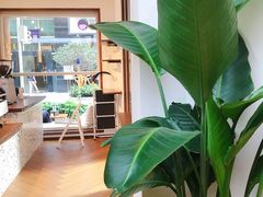 -Line 咖啡(石厦花园店)