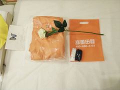 -爱的果实月嫂育婴师(世纪东方店)