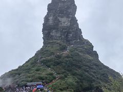 -亮欢寨酸汤鱼(沙冲路店)
