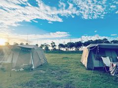 -春花秋色城市公园