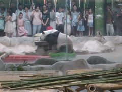 -栾川竹海野生动物园