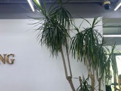 -宫铭烫发染发接发店
