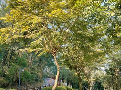 -东莞市虎英郊野公园