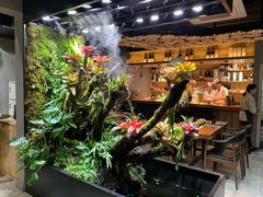 -森味薪火烧•烧鸟居酒屋•日本料理(望京店)
