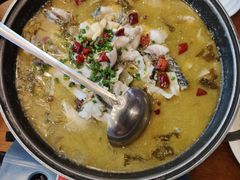 -饭怕鱼(阳光100店)