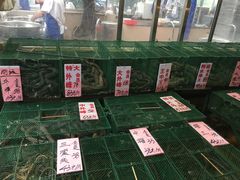 水产区-荔城生鲜盛宴(番禺旗舰店)