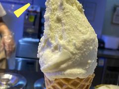 开心果Gelato-野人牧坊Gelato(天津南开大悦城店)