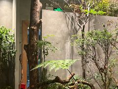 -森SPA·泰式按摩·精油Massage(宝安中心店)