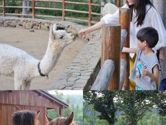 -南京市无想山景区