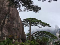 -黄山风景区