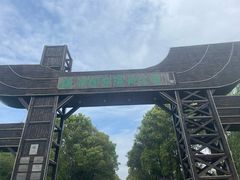 -溱湖国家湿地公园