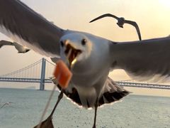-星海广场