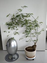 -颜蕾医美·黄金微针·水光·玻尿酸·超声炮·抗衰中心