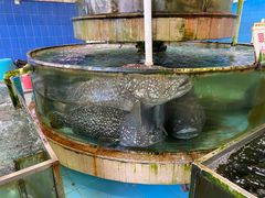 -大天然酒店(军民路店)