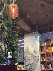 -T.1 hair salon烫染接发