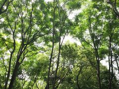 -Cactus墨西哥仙人掌餐厅