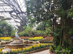-南山植物园
