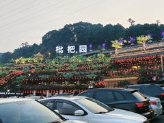 -枇杷园食为鲜火锅(南山店)