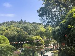 -竹海听涛生态山庄