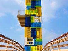 -春花秋色城市公园