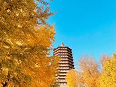 -玲珑塔公园