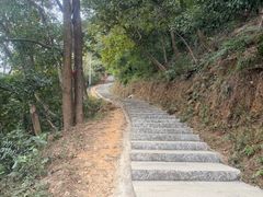 -黄埔油麻山森林公园