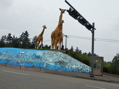 -鄂尔多斯野生动物园