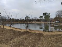 -鹅湖玫瑰文化园