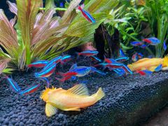 -上海海洋水族馆