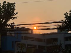 -晶牌烤鸭(延吉东路557弄小区店)