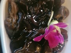 -蒙星月涮肚火锅城(宏运家园店)