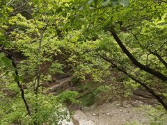 -北京上方山国家森林公园