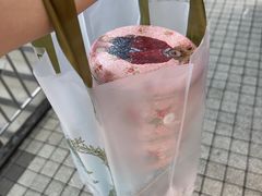 -珍妮曲奇聪明小熊(尖沙咀店)