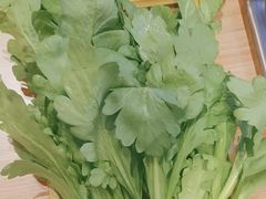 -蝎王府羊蝎子(西直门店)