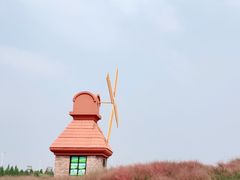 -杭州湾海上花田景区