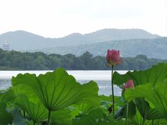 -杭州香格里拉·香宫中餐厅