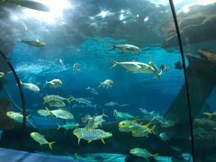 -福州罗源湾海洋世界旅游区