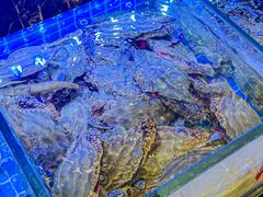 -阿湾楼·温州海鲜·江浙菜(京江路店)
