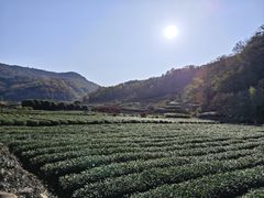 -十九峰景区-倒脱靴
