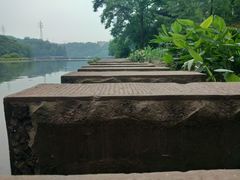 -重庆彩云湖湿地公园