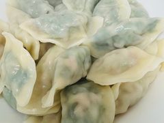 -熊大爷现包饺子(和平里店)