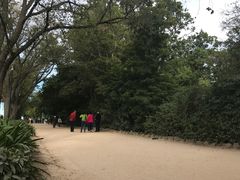 -墨尔本皇家植物园
